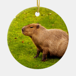 Capybara Ceramic Tree Decoration