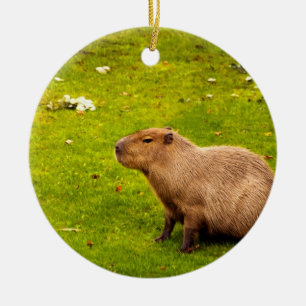 Capybara Ceramic Tree Decoration