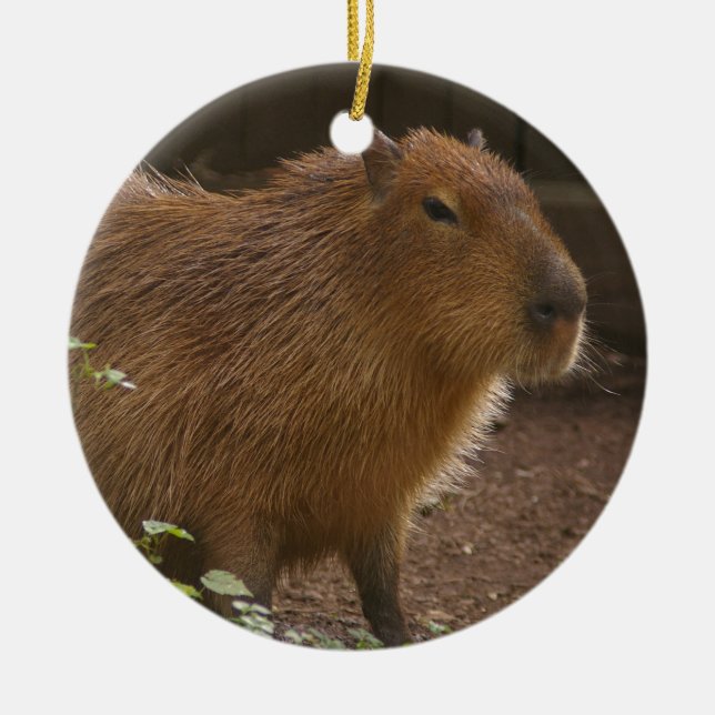 Capybara Ceramic Tree Decoration (Front)