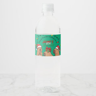 Capybara Christmas Lights Birthday Party Water Bottle Label