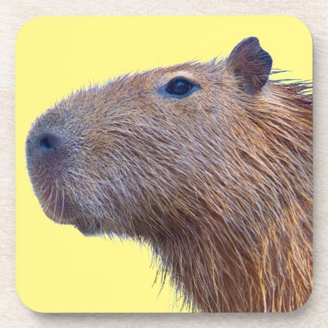 Capybara Coaster (Front)