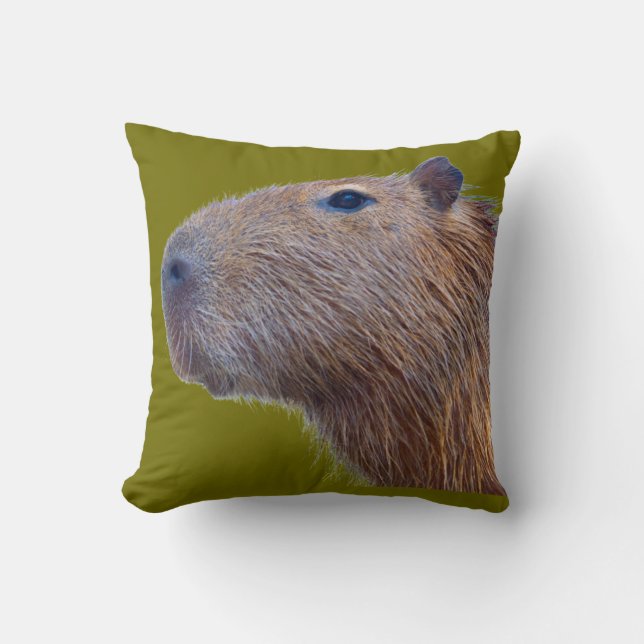 Capybara Cushion (Front)