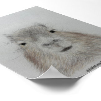 Capybara | Cute Pencil Drawing Art Print