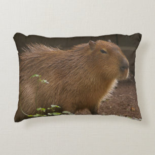 Capybara Decorative Cushion