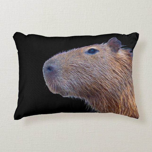 Capybara Decorative Cushion (Front)