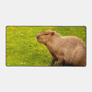 Capybara Desk Mat
