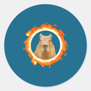 Capybara Eclipse Meme Solar Animal Classic Round Sticker