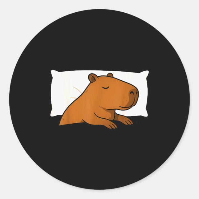 Capybara Favorite Sleepshirt Sleeng Pajamas Boys G Classic Round Sticker (Front)