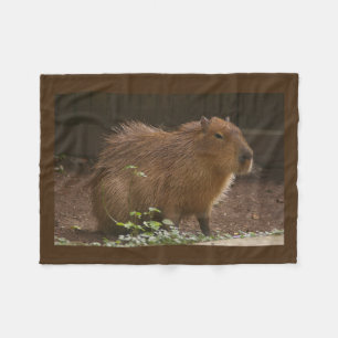 Capybara Fleece Blanket