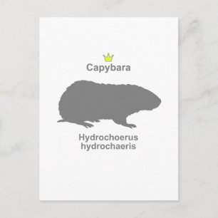 Capybara g5 postcard
