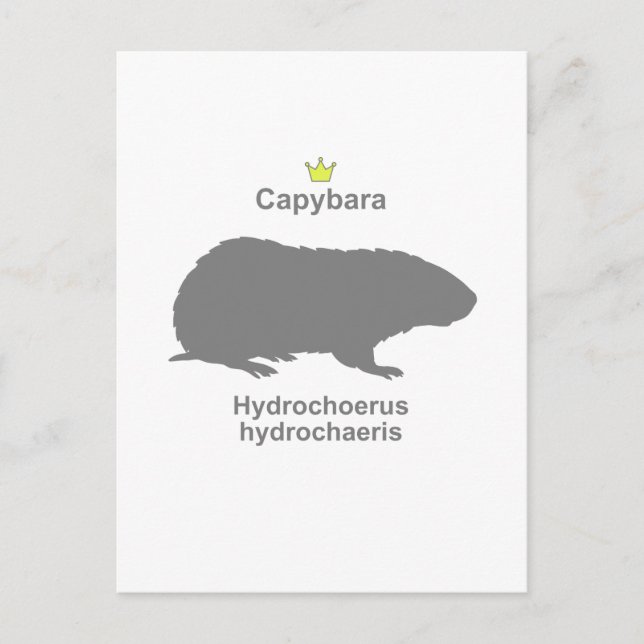 Capybara g5 postcard (Front)