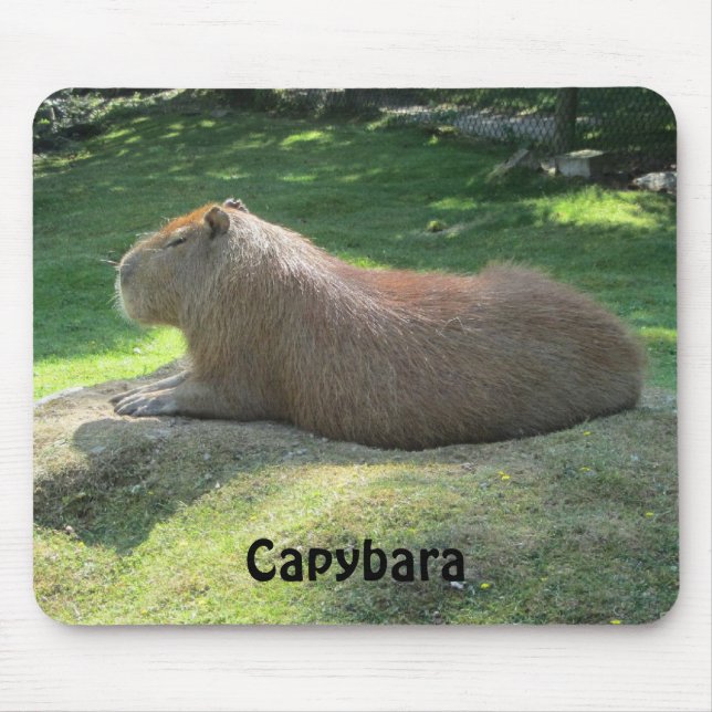 Capybara - Giant Rodent Mouse Mat (Front)