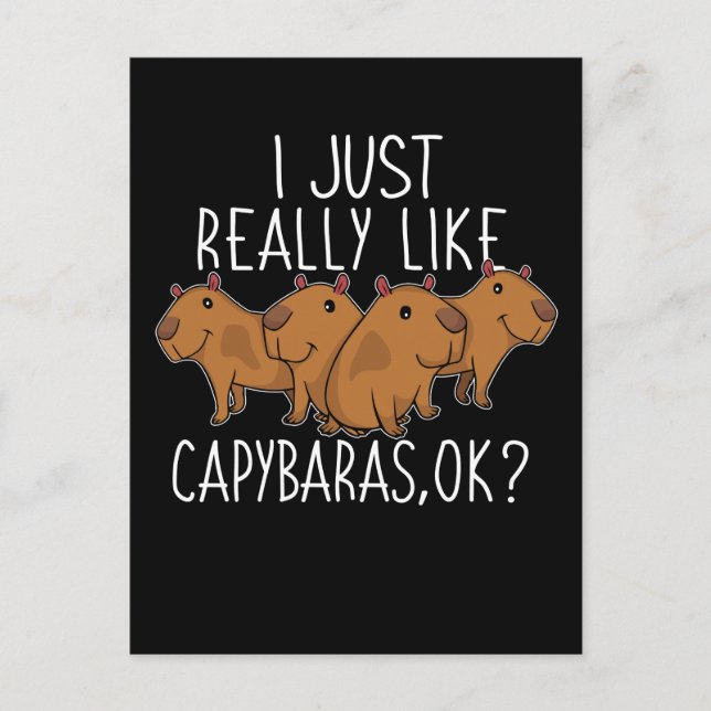 Capybara Gift Kids Women Cute Capybara Postcard (Front)