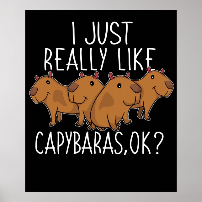 Capybara Gift Kids Women Cute Capybara Poster (Front)