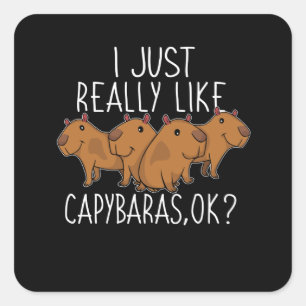 Capybara Gift Kids Women Cute Capybara Square Sticker