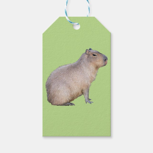 Capybara Gift Tags (Front)