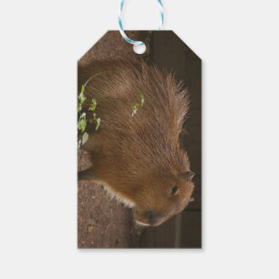 Capybara Gift Tags