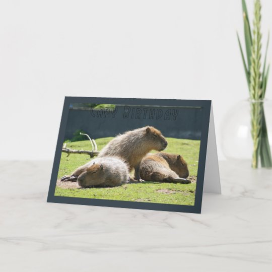 Capybara Greeting Card Capy Birthday Zazzle co uk