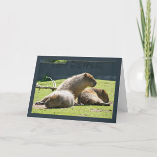 Capybara Greeting Card - Capy Birthday