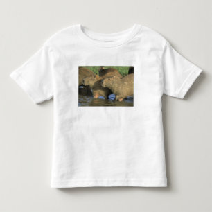 Capybara, Hydrochaeris hydrochaeris), world's Toddler T-Shirt