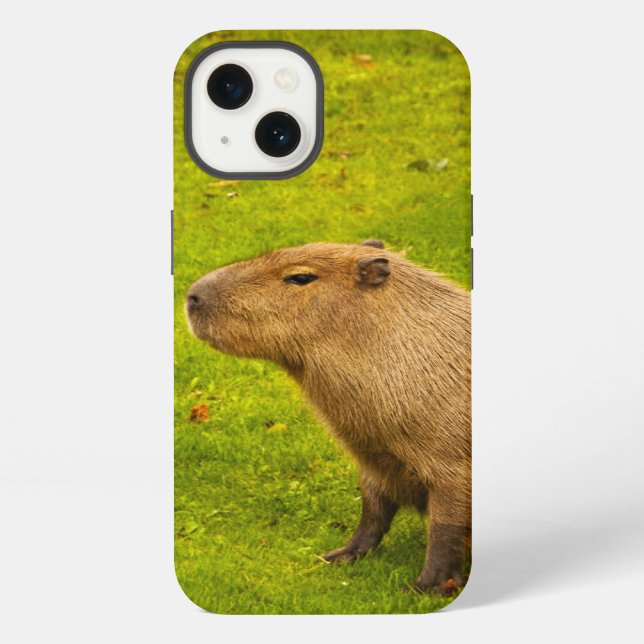 Capybara iPhone Case (Back)