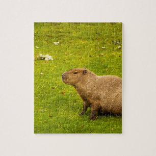 Capybara Jigsaw Puzzle