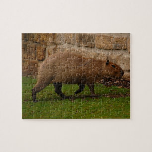 capybara jigsaw puzzle