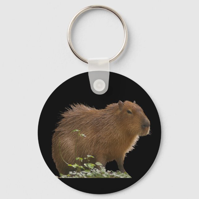 Capybara Key Ring (Front)