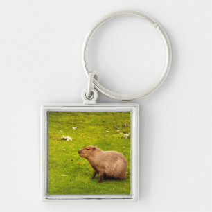 Capybara Key Ring