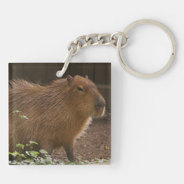 Capybara Key Ring (Back)