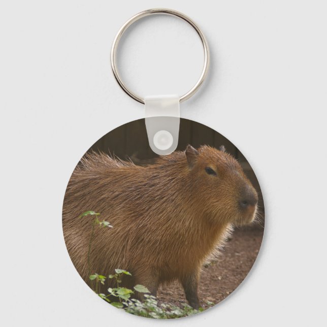 Capybara Key Ring (Front)