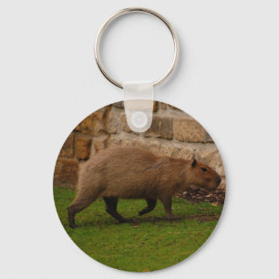 capybara key ring