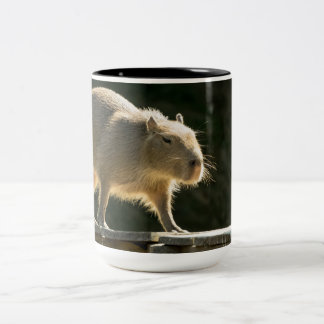 Capybara Large Mug