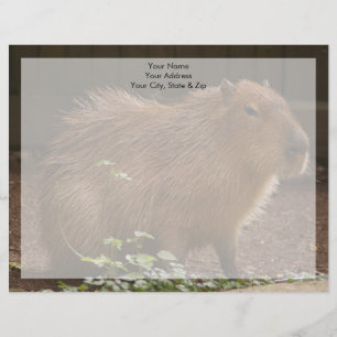 Capybara Letterhead Template