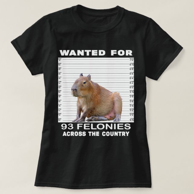Capybara Lover Wanted For 93 Felonies Across The C T-Shirt (Design Front)