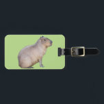 Capybara Luggage Tag<br><div class="desc">A photograph of a cute Capybara,  the largest rodent in the world. Customise by adding text or changing the background colour to suit yourself.</div>