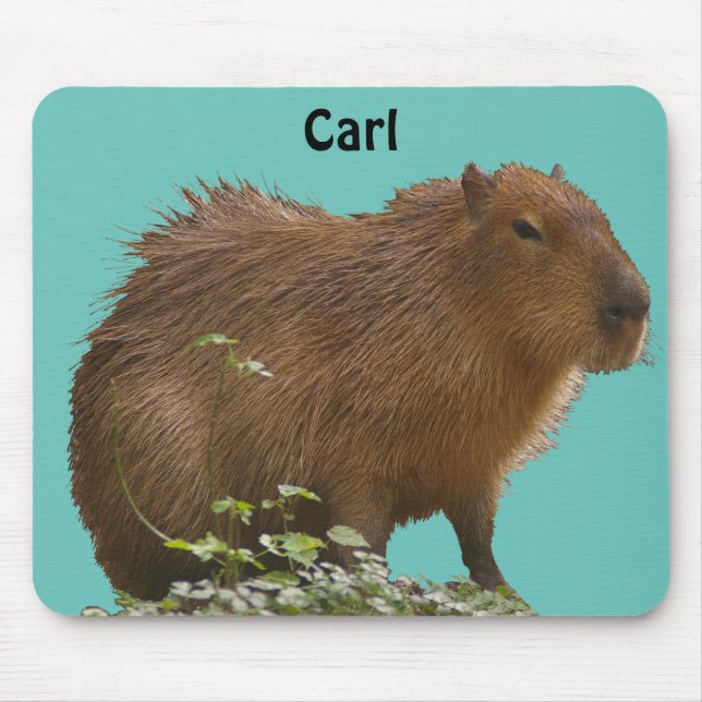 Capybara Mouse Mat (Front)