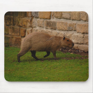 capybara mouse mat