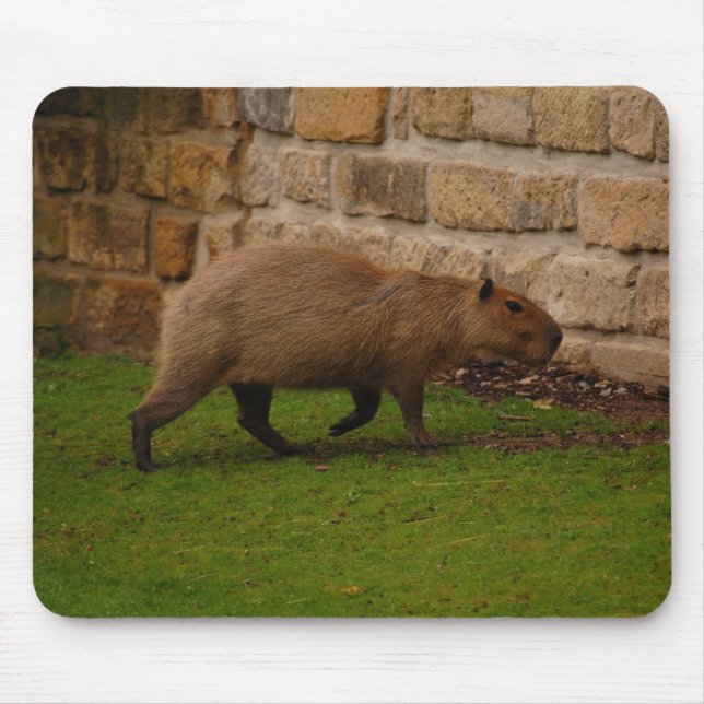 capybara mouse mat (Front)