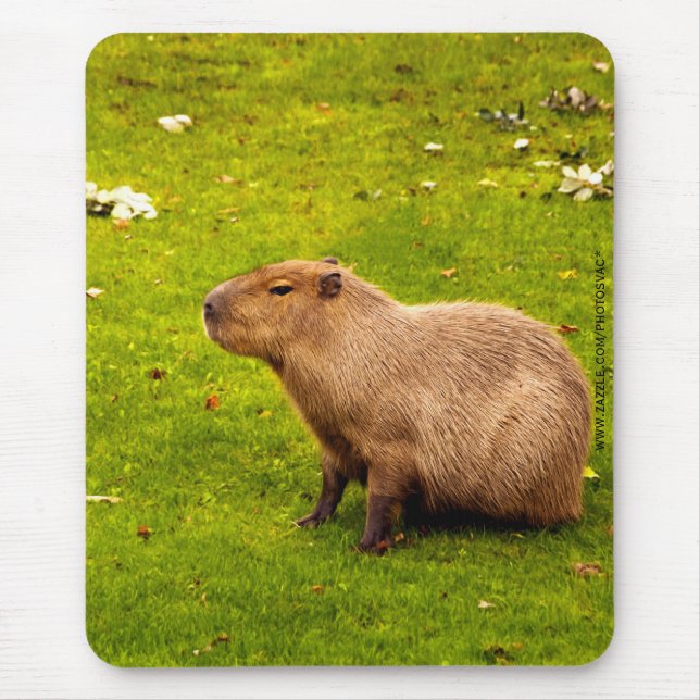 Capybara Mouse Mat (Front)
