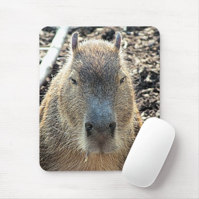 CAPYBARA MOUSE MAT (With Mouse)