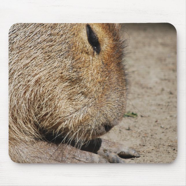 Capybara Mouse Pad (Front)