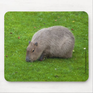 Capybara Mousepad