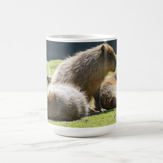 Capybara Mug (Center)