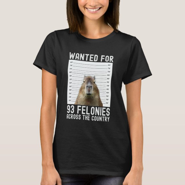 Capybara Mugshot Wanted For 93 Felonies Across The T-Shirt (Front)