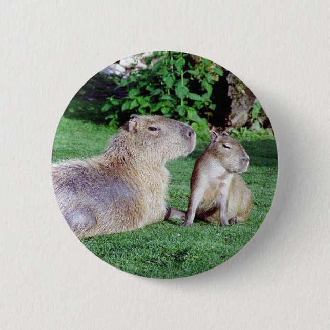 Capybara Mum and Son Button (Front)