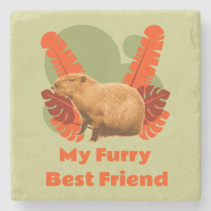 Capybara My Furry Best Friend Stone Coaster