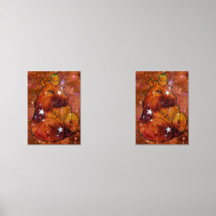 Capybara named Dream