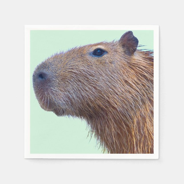 Capybara Napkin (Front)