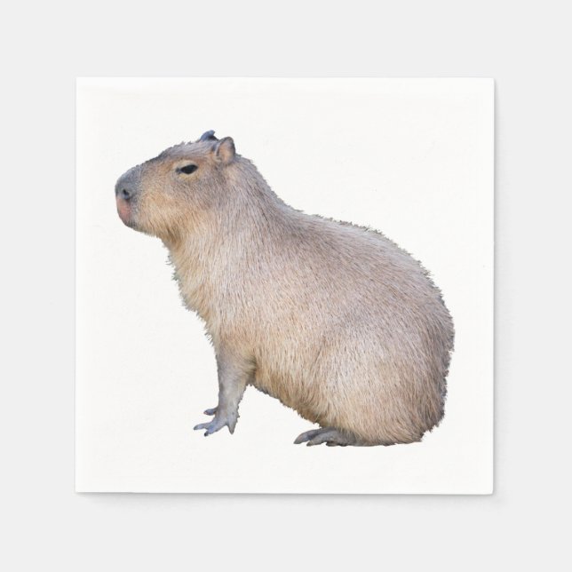 Capybara Napkin (Front)